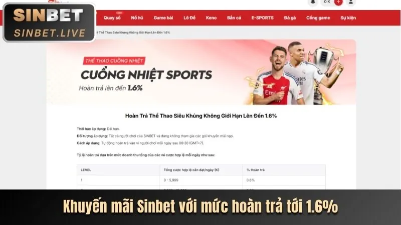 Hoàn Trả Cược Thua